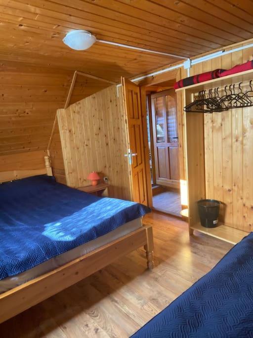 Cabana Cerbul De Aur Sub Cetate エクステリア 写真
